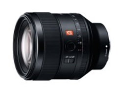 SEL85F14GM
