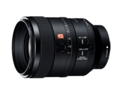 SEL100F28GM